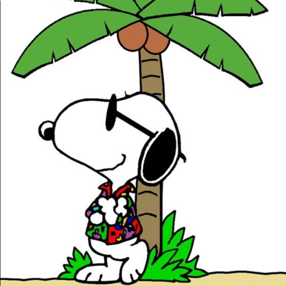 Meet your Posher, Rita